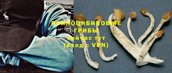 соль ск Алзамай