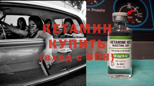 сатива Новокубанск