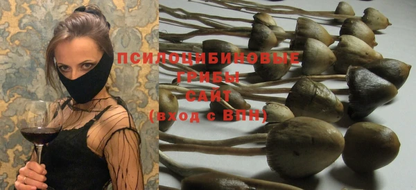 дурь Алексеевка